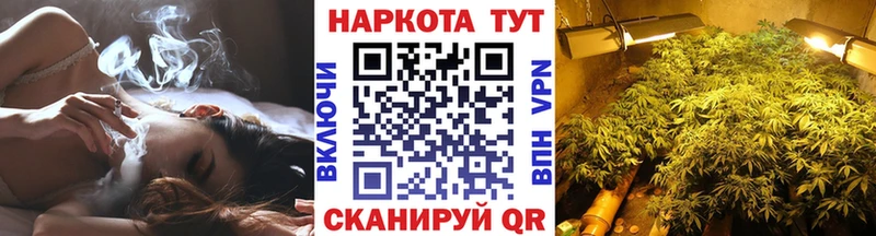 Бошки Шишки Черняховск