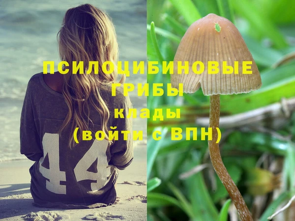 мдпв Волосово