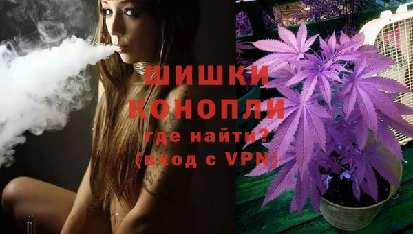 мдпв Волосово